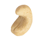 cashew3